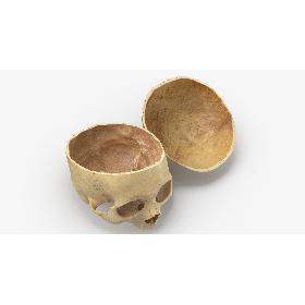 3D Real Human Skull Cranial 02 Cut With Piece Pose 03